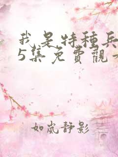 我是特种兵第25集免费观看