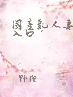 国产乱人妻精品入口′