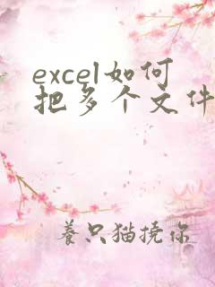 excel如何把多个文件合并到一个文件