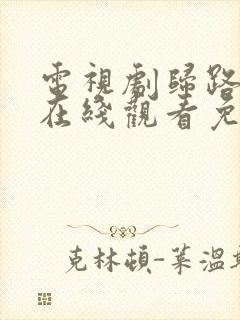 电视剧归路全集在线观看免费