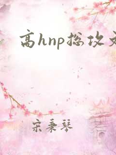 高hnp总攻文