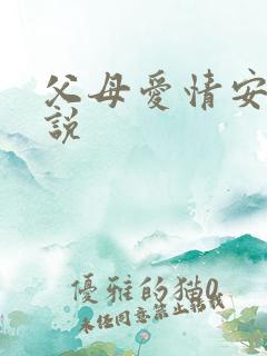 父母爱情安欣小说