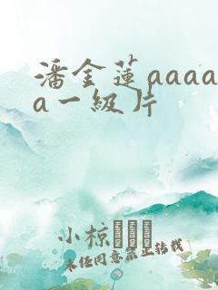 潘金莲aaaaa一级片