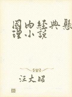 国内经典悬疑推理小说