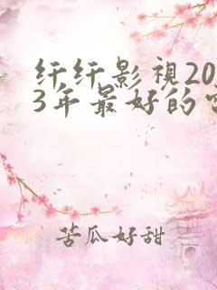 纤纤影视2023年最好的电视剧