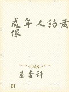 成年人的黄色录像