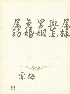 属兔男与属鼠女的婚姻怎样