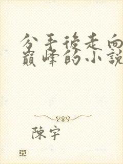 分手后走向仕途巅峰的小说