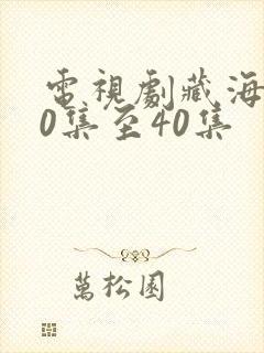电视剧藏海传20集至40集