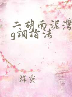 二胡南泥湾曲谱g调指法