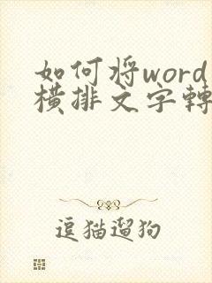 如何将word横排文字转换为竖排文字
