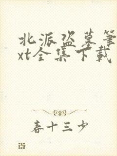 北派盗墓笔记txt全集下载完整版