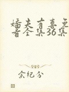 娇夫有喜免费观看全集36集