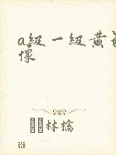 a级一级黄色录像