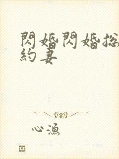 闪婚闪婚总裁契约妻