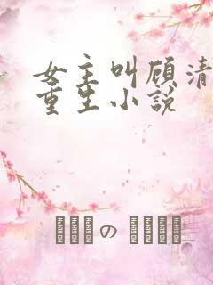 女主叫顾清欢的重生小说