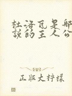 杜洛瓦是哪部小说的主人公