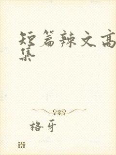 短篇辣文高h合集