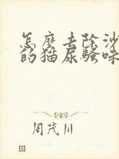 怎么去除沙发上的猫尿骚味