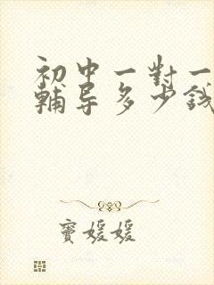 初中一对一数学辅导多少钱