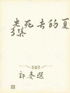 光死去的夏天13集