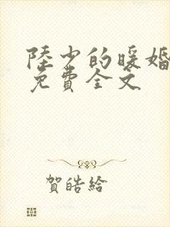 陆少的暖婚新妻免费全文