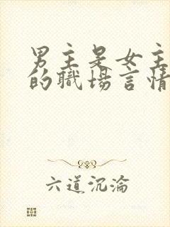 男主是女主上司的职场言情文