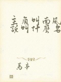 主角叫南风的小说叫什么名字