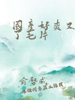 国产好爽又高潮了毛片