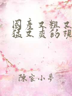 国产又粗又硬又猛又爽的视频