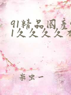 91精品国产91久久久久不卡