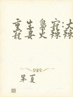 重生枭宠:大佬宠妻火辣辣