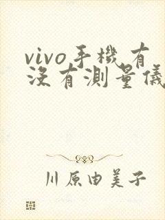 vivo手机有没有测量仪