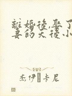 离婚后,娶了前妻的天后小姨 十万字