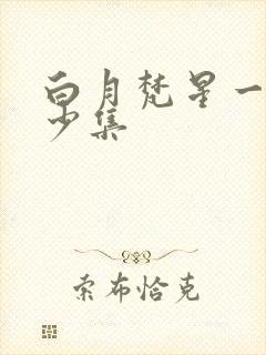 白月梵星一共多少集