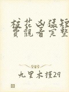 校花凶猛短剧免费观看完整版高清