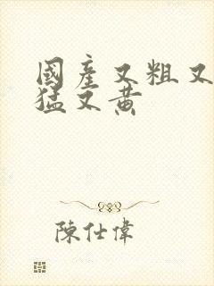 国产又粗又爽又猛又黄