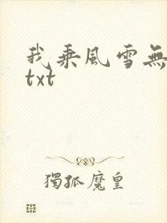 我乘风雪无删减txt
