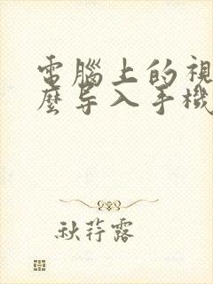 电脑上的视频怎么导入手机