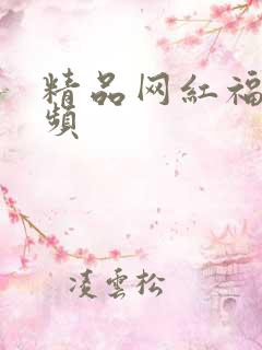 精品网红福利视频
