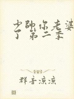 少帅你老婆又跑了 第二季