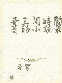 晋王周时阅陆昭菱的小说最新