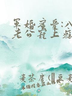 军婚蜜爱:八零老公宠上瘾 小说完整