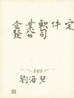 企业软件定制开发公司