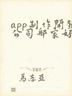 app制作开发公司哪家好