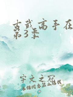 古武高手在都市第3季