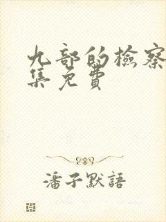 九部的检察官全集免费