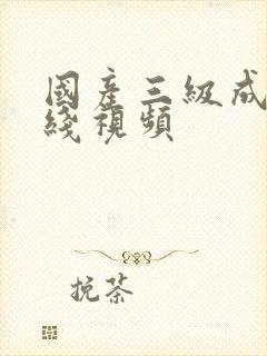 国产三级成人在线视频