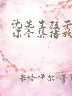 沈先生孩子不是你全集播放