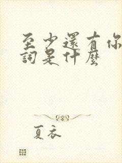 至少还有你的歌词是什么